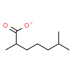 ChemSpider 2D Image | 2,6-Dimethylheptanoate | C9H17O2