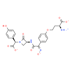 ChemSpider 2D Image | (2S)-2-Ammonio-4-{4-[(1Z)-2-({(3S)-1-[(R)-carboxylato(4-hydroxyphenyl)methyl]-2-oxo-3-azetidinyl}amino)-N-oxido-2-oxoethanimidoyl]phenoxy}butanoate | C23H22N4O9