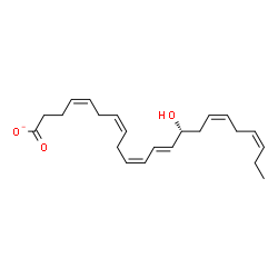 ChemSpider 2D Image | (4Z,7Z,10Z,12E,14R,16Z,19Z)-14-Hydroxy-4,7,10,12,16,19-docosahexaenoate | C22H31O3