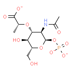 ChemSpider 2D Image | 2-Acetamido-3-O-[(1R)-1-carboxylatoethyl]-2-deoxy-1-O-phosphonato-alpha-D-glucopyranosato | C11H17NO11P