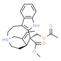 ChemSpider 2D Image | (1S,2S,16E)-2-(Acetoxymethyl)-16-ethylidene-2-(methoxycarbonyl)-4-aza-14-azoniatetracyclo[12.2.2.0~3,11~.0~5,10~]octadeca-3(11),5,7,9-tetraene | C23H29N2O4