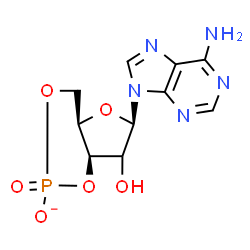 ChemSpider 2D Image | (4aR,6R,7aR)-6-(6-Amino-9H-purin-9-yl)-7-hydroxytetrahydro-4H-furo[3,2-d][1,3,2]dioxaphosphinin-2-olate 2-oxide | C10H11N5O6P