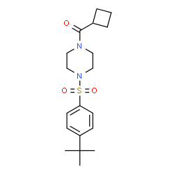 ChemSpider 2D Image | Cyclobutyl(4-{[4-(2-methyl-2-propanyl)phenyl]sulfonyl}-1-piperazinyl)methanone | C19H28N2O3S