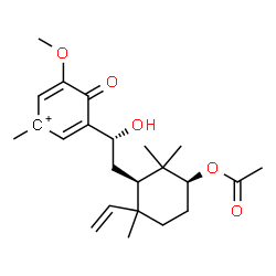 ChemSpider 2D Image | 3-{(1R)-2-[(1R,3S)-3-Acetoxy-2,2,6-trimethyl-6-vinylcyclohexyl]-1-hydroxyethyl}-5-methoxy-1-methyl-4-oxo-2,5-cyclohexadienylium | C23H33O5