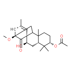 ChemSpider 2D Image | (1S,2R,4R,6S,12S)-6-Acetoxy-2-hydroxy-12-methoxy-5,5,9,14-tetramethyl-16-oxotetracyclo[10.3.1.0~1,10~.0~4,9~]hexadec-14-en-13-ylium | C23H33O5