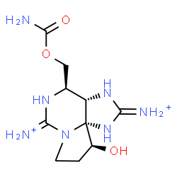 ChemSpider 2D Image | (3aS,4R,10S,10aS)-4-[(Carbamoyloxy)methyl]-10-hydroxyhexahydro-1H,8H-pyrrolo[1,2-c]purine-2,6-diiminium | C10H19N7O3