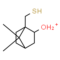 ChemSpider 2D Image | [7,7-Dimethyl-1-(sulfanylmethyl)bicyclo[2.2.1]hept-2-yl]oxonium | C10H19OS