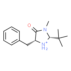 ChemSpider 2D Image | (2R,5R)-5-Benzyl-3-methyl-2-(2-methyl-2-propanyl)-4-oxoimidazolidin-1-ium | C15H23N2O