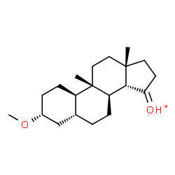 ChemSpider 2D Image | (3alpha,5beta,8alpha,9beta,10alpha,14beta)-3-Methoxy-9-methyl-15-oxonioestrane | C20H33O2