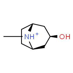 ChemSpider 2D Image | (1R,5R)-3-Hydroxy-8-methyl-8-azoniabicyclo[3.2.1]octane | C8H16NO