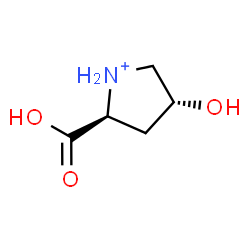 ChemSpider 2D Image | (2S,4R)-2-Carboxy-4-hydroxypyrrolidinium | C5H10NO3