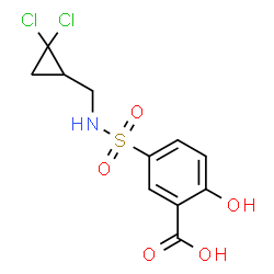 ChemSpider 2D Image | 5-{[(2,2-Dichlorocyclopropyl)methyl]sulfamoyl}-2-hydroxybenzoic acid | C11H11Cl2NO5S
