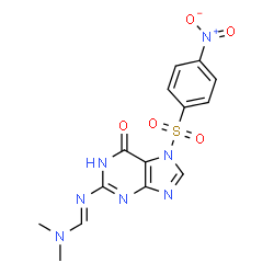 ChemSpider 2D Image | N,N-Dimethyl-N'-{7-[(4-nitrophenyl)sulfonyl]-6-oxo-6,7-dihydro-1H-purin-2-yl}imidoformamide | C14H13N7O5S