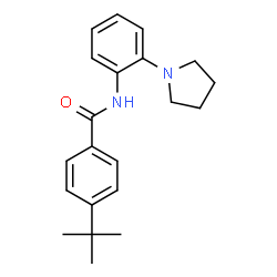 ChemSpider 2D Image | 4-(2-Methyl-2-propanyl)-N-[2-(1-pyrrolidinyl)phenyl]benzamide | C21H26N2O