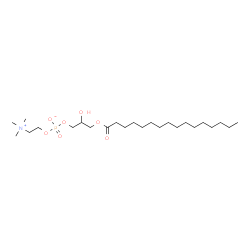 ChemSpider 2D Image | Lysolecithin | C24H50NO7P