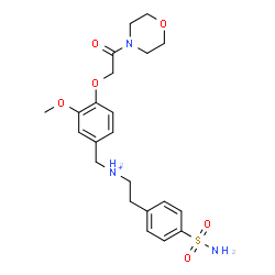 ChemSpider 2D Image | N-{3-Methoxy-4-[2-(4-morpholinyl)-2-oxoethoxy]benzyl}-2-(4-sulfamoylphenyl)ethanaminium | C22H30N3O6S