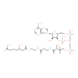 ChemSpider 2D Image | 3-hydroxypimeloyl-CoA | C28H46N7O20P3S