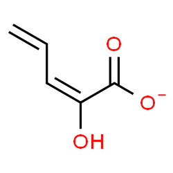ChemSpider 2D Image | (2E)-2-Hydroxy-2,4-pentadienoate | C5H5O3