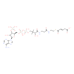 ChemSpider 2D Image | (9R,20E)-1-[(2R,3S,4R,5R)-5-(6-Amino-9H-purin-9-yl)-4-hydroxy-3-(phosphonooxy)tetrahydro-2-furanyl]-3,5,9-trihydroxy-8,8-dimethyl-10,14,19-trioxo-2,4,6-trioxa-18-thia-11,15-diaza-3,5-diphosphatricos-2
0-en-23-oate 3,5-dioxide | C26H39N7O19P3S