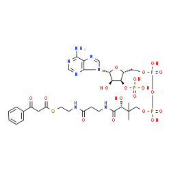 ChemSpider 2D Image | benzoylacetyl-CoA | C30H42N7O18P3S