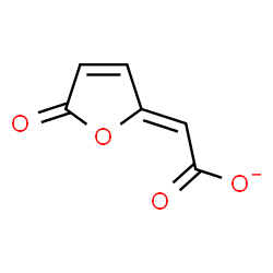 ChemSpider 2D Image | (2Z)-(5-Oxo-2(5H)-furanylidene)acetate | C6H3O4