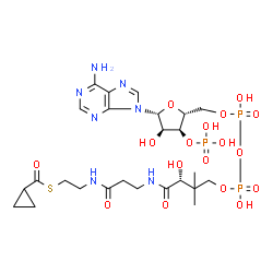 ChemSpider 2D Image | S-{(9R)-1-[(2R,3S,4R,5R)-5-(6-Amino-9H-purin-9-yl)-4-hydroxy-3-(phosphonooxy)tetrahydro-2-furanyl]-3,5,9-trihydroxy-8,8-dimethyl-3,5-dioxido-10,14-dioxo-2,4,6-trioxa-11,15-diaza-3lambda~5~,5lambda~5~-
diphosphaheptadecan-17-yl} cyclopropanecarbothioate | C25H40N7O17P3S