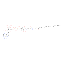 ChemSpider 2D Image | S-{(9R)-1-[(2R,3R,5R)-5-(6-Amino-9H-purin-9-yl)-4-hydroxy-3-(phosphonooxy)tetrahydro-2-furanyl]-3,5,9-trihydroxy-8,8-dimethyl-3,5-dioxido-10,14-dioxo-2,4,6-trioxa-11,15-diaza-3lambda~5~,5lambda~5~-dip
hosphaheptadecan-17-yl} hexadecanethioate | C37H66N7O17P3S