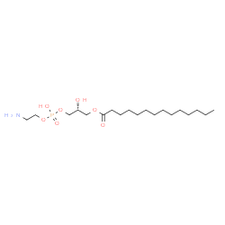 ChemSpider 2D Image | 1-Myristoyl-2-hydroxy-sn-glycero-3-PE | C19H40NO7P