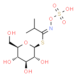 ChemSpider 2D Image | 1-S-[(1E)-2-Methyl-N-(sulfooxy)propanimidoyl]-1-thio-beta-D-glucopyranose | C10H19NO9S2