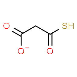 ChemSpider 2D Image | 3-Oxo-3-sulfanylpropanoate | C3H3O3S
