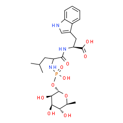 ChemSpider 2D Image | (2S)-2-({2-[(Hydroxy{[(2S,3R,4R,5R,6S)-3,4,5-trihydroxy-6-methyltetrahydro-2H-pyran-2-yl]oxy}phosphoryl)amino]-4-methylpentanoyl}amino)-3-(1H-indol-3-yl)propanoic acid (non-preferred name) | C23H34N3O10P