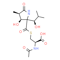 ChemSpider 2D Image | N-Acetyl-S-({(3S,4R)-3-hydroxy-2-[(1R)-1-hydroxy-2-methylpropyl]-4-methyl-5-oxo-2-pyrrolidinyl}carbonyl)-L-cysteine | C15H24N2O7S