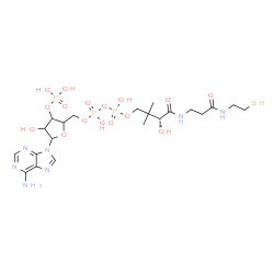 ChemSpider 2D Image | [5-(6-Amino-9H-purin-9-yl)-4-hydroxy-3-(phosphonooxy)tetrahydro-2-furanyl]methyl (3R)-3-hydroxy-2,2-dimethyl-4-oxo-4-({3-oxo-3-[(2-sulfanylethyl)amino]propyl}amino)butyl dihydrogen diphosphate (non-pr
eferred name) | C21H36N7O16P3S