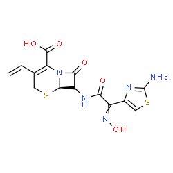 ChemSpider 2D Image | (6R)-7-{[(2-Amino-1,3-thiazol-4-yl)(hydroxyimino)acetyl]amino}-8-oxo-3-vinyl-5-thia-1-azabicyclo[4.2.0]oct-2-ene-2-carboxylic acid | C14H13N5O5S2