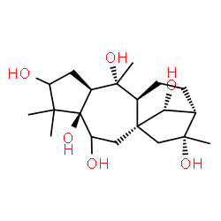 ChemSpider 2D Image | (9alpha,13beta,14R)-Grayanotoxane-3,5,6,10,14,16-hexol | C20H34O6