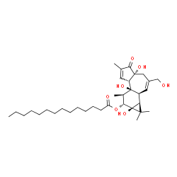 ChemSpider 2D Image | (1aS,1bS,4aR,7aS,7bS,8R,9R,9aS)-4a,7b,9a-Trihydroxy-3-(hydroxymethyl)-1,1,6,8-tetramethyl-5-oxo-1a,1b,4,4a,5,7a,7b,8,9,9a-decahydro-1H-cyclopropa[3,4]benzo[1,2-e]azulen-9-yl myristate | C34H54O7