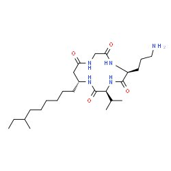 ChemSpider 2D Image | (3S,6S,13R)-6-(3-Aminopropyl)-3-isopropyl-13-(7-methylnonyl)-1,4,7,10-tetraazacyclotridecane-2,5,8,11-tetrone | C25H47N5O4