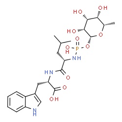 ChemSpider 2D Image | (2S)-2-({(2S)-2-[(Hydroxy{[(2R,3R,4R,5S,6S)-3,4,5-trihydroxy-6-methyltetrahydro-2H-pyran-2-yl]oxy}phosphoryl)amino]-4-methylpentanoyl}amino)-3-(1H-indol-3-yl)propanoic acid (non-preferred name) | C23H34N3O10P