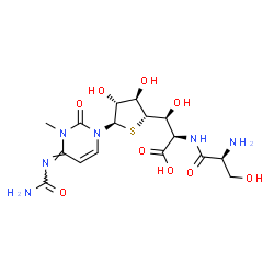 ChemSpider 2D Image | L-Seryl-(3S)-3-{(2S,3R,4R,5R)-5-[(4E)-4-(carbamoylimino)-3-methyl-2-oxo-3,4-dihydro-1(2H)-pyrimidinyl]-3,4-dihydroxytetrahydro-2-thiophenyl}-D-serine | C16H24N6O9S