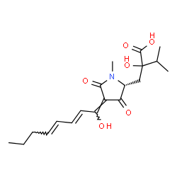 ChemSpider 2D Image | 2-Hydroxy-2-({(2R,4E)-4-[(2E,4E)-1-hydroxy-2,4-octadien-1-ylidene]-1-methyl-3,5-dioxo-2-pyrrolidinyl}methyl)-3-methylbutanoic acid | C19H27NO6