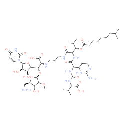 ChemSpider 2D Image | (2S,6S,9S,16S)-16-{(S)-{[(2S,3R,4R,5R)-5-(Aminomethyl)-4-hydroxy-3-methoxytetrahydro-2-furanyl]oxy}[(2S,3S,4R,5R)-5-(2,4-dioxo-3,4-dihydro-1(2H)-pyrimidinyl)-3,4-dihydroxytetrahydro-2-furanyl]methyl}-
6-[(4S)-2-amino-3,4,5,6-tetrahydro-4-pyrimidinyl]-2-isopropyl-9-{(1S)-2-methyl-1-[(8-methylnonanoyl)oxy]propyl}-4,7,10-trioxo-3,5,8,11,15-pentaazaheptadecane-1,17-dioic acid (non-preferred name) | C48H81N11O18