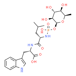 ChemSpider 2D Image | (2S)-2-({(2S)-2-[(Hydroxy{[(2S,3S,4R,5R,6R)-3,4,5-trihydroxy-6-methyltetrahydro-2H-pyran-2-yl]oxy}phosphoryl)amino]-4-methylpentanoyl}amino)-3-(1H-indol-3-yl)propanoic acid (non-preferred name) | C23H34N3O10P