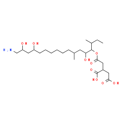 ChemSpider 2D Image | 2-{2-[(17-Amino-5,14,16-trihydroxy-3,7-dimethyl-4-heptadecanyl)oxy]-2-oxoethyl}succinic acid | C25H47NO9