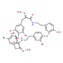 ChemSpider 2D Image | (12E,25Z)-16,21,32,36-Tetrabromo-4,17-dihydroxy-12,25-bis(hydroxyimino)-2,19-dioxa-10,27-diazapentacyclo[28.2.2.2~20,23~.1~3,7~.1~14,18~]octatriaconta-1(32),3(38),4,6,14(37),15,17,20,22,30,33,35-dodec
aene-11,26-dione | C34H28Br4N4O8