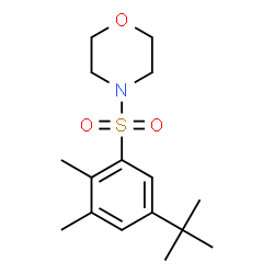 ChemSpider 2D Image | 4-{[2,3-Dimethyl-5-(2-methyl-2-propanyl)phenyl]sulfonyl}morpholine | C16H25NO3S
