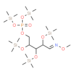 ChemSpider 2D Image | (5E)-5-(Methoxyimino)-2,3,4-tris[(trimethylsilyl)oxy]pentyl bis(trimethylsilyl) phosphate | C21H54NO8ψ5