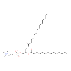 ChemSpider 2D Image | (2S)-2,3-Bis(tetradecanoyloxy)propyl 2-(trimethylammonio)ethyl phosphate | C36H72NO8P