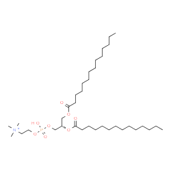ChemSpider 2D Image | (7S)-4-Hydroxy-N,N,N-trimethyl-10-oxo-7-(tetradecanoyloxy)-3,5,9-trioxa-4-phosphatricosan-1-aminium 4-oxide | C36H73NO8P
