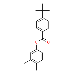 ChemSpider 2D Image | 3,4-dimethylphenyl 4-tert-butylbenzoate | C19H22O2