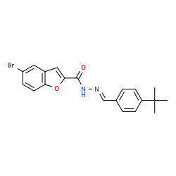 ChemSpider 2D Image | 5-Bromo-N'-[(E)-(4-tert-butylphenyl)methylene]-1-benzofuran-2-carbohydrazide | C20H19BrN2O2